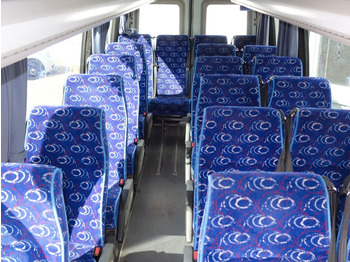 Iveco Daily A50C18  20 Sitztplatze  - Minibus, Pulmino: foto 4