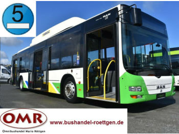 Autobus urbano MAN A21 CNG/A20/Lion´s City/530 Citaro/Erdgas: foto 1
