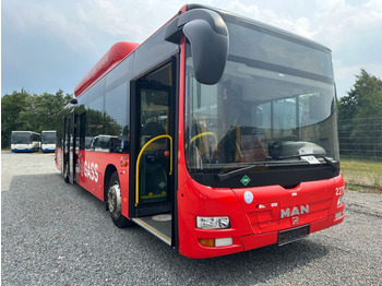 MAN A21/CNG Lion City/530  - Autobus urbano