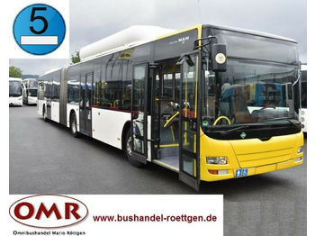 Autobus urbano MAN A 23 / O 530 G / CNG / EEV / Klima /org. KM: foto 1