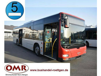 Autobus urbano MAN A 37 Lion´s City/A20/A21/530/Citaro/EEV: foto 1