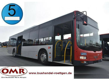 Autobus urbano MAN A 37 Lion´s City /A20/A21/530/Citaro/EEV: foto 1