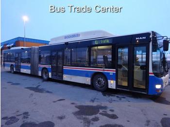 Autobus urbano MAN Lion's City A23 CNG EEV / 4 UNITS AVAILABLE: foto 1