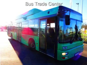 Autobus urbano MAN Lions City A21 CNG EEV // 50 PCS: foto 1