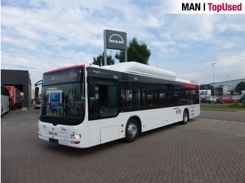 Autobus urbano MAN Lions City CNG euro 5/EEV: foto 1