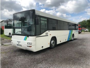 Autobus extraurbano MAN SÜ 313/Type A 72 / Lion's Classik/Klima//: foto 1