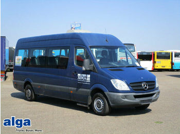 Minibus, Pulmino Mercedes-Benz 315 CDI Sprinter, 14 SItze, Klima, Hebebühne: foto 1