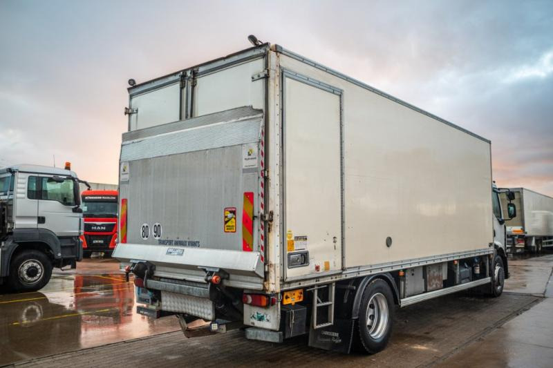 Autocarro furgonato Renault PREMIUM 300DXI+POUSSIN/CHICKEN/KUIKEN/KÛKEN+DHOLLANDIA