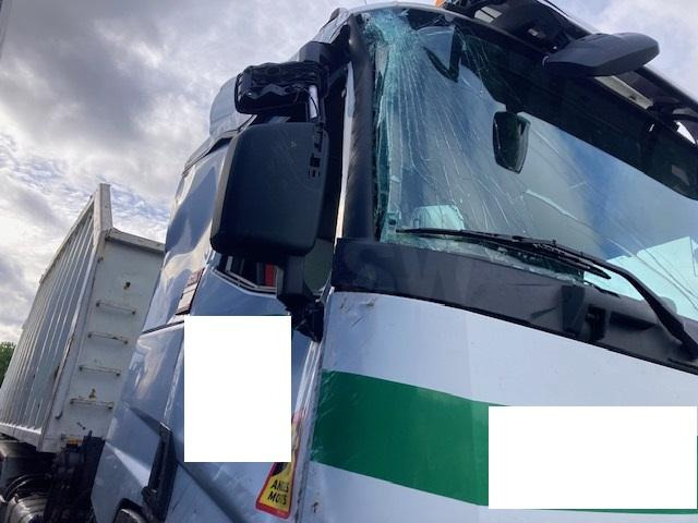 Autocarro ribaltabile Renault C-Series 460