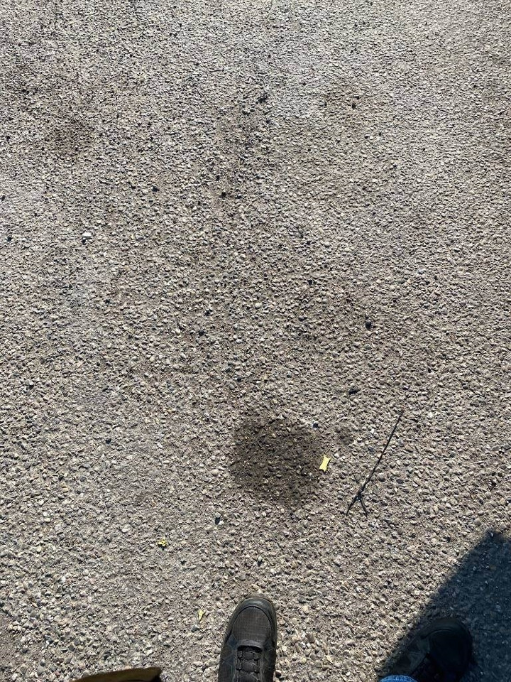 Autocarro telaio Iveco STRALIS 460NP LNG RETARDER