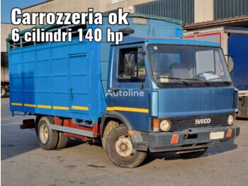 IVECO 79.14 - Autocarro trasporto bestiame