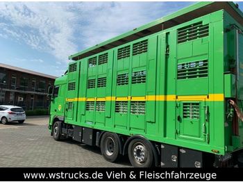 Autocarro trasporto bestiame DAF XF 105/460 SC Menke 3 Stock Hubdach: foto 1