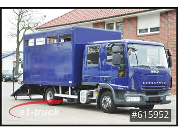 Camion Iveco ML80E18D, Pferde, 7 Sitze, Doka Tüv 11/21: foto 1