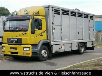 Autocarro trasporto bestiame MAN 15.220 Menke Einstock: foto 1