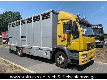 Autocarro trasporto bestiame MAN 15.220 Menke Einstock: foto 1