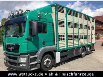 Autocarro trasporto bestiame MAN TGX 26.440 LXL Menke   3 Stock Vollalu: foto 1