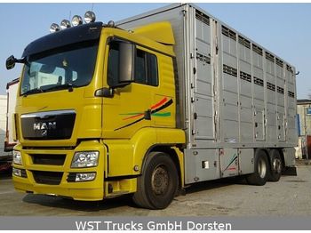 Autocarro trasporto bestiame MAN TGX 26.440 LX Menke 3 Stock: foto 1