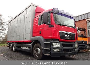 Autocarro trasporto bestiame MAN TGX 26.440 LX Menke 3 Stock Hubdach: foto 1