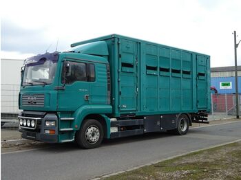 Autocarro trasporto bestiame MAN TG-A 18.310 FG  / LL: foto 1