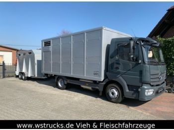Autocarro trasporto bestiame per il trasporto di animali Mercedes-Benz 821L" Neu" WST Edition" Menke Einstock Vollalu: foto 1