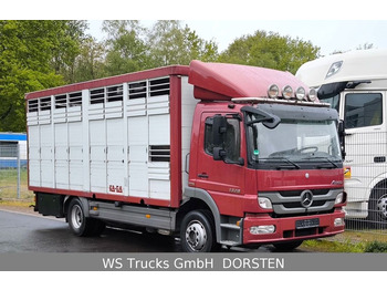 Mercedes-Benz Atego 1329  4x2  KA-BA Viehtransporter Großvieh  - Autocarro trasporto bestiame: foto 1