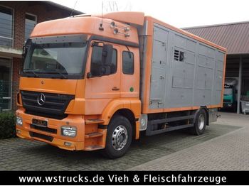 Autocarro trasporto bestiame Mercedes-Benz  Axor 1833 2 Stock Michieletto: foto 1