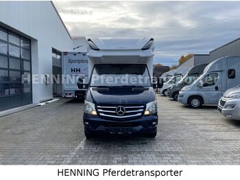 Van trasporto cavalli, Camion con gru nuovo Mercedes-Benz Sprinter 3 - Sitzer *AUSBAU AUF WUNSCH*: foto 3