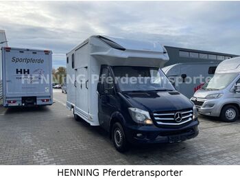 Van trasporto cavalli, Camion con gru nuovo Mercedes-Benz Sprinter 3 - Sitzer *AUSBAU AUF WUNSCH*: foto 4