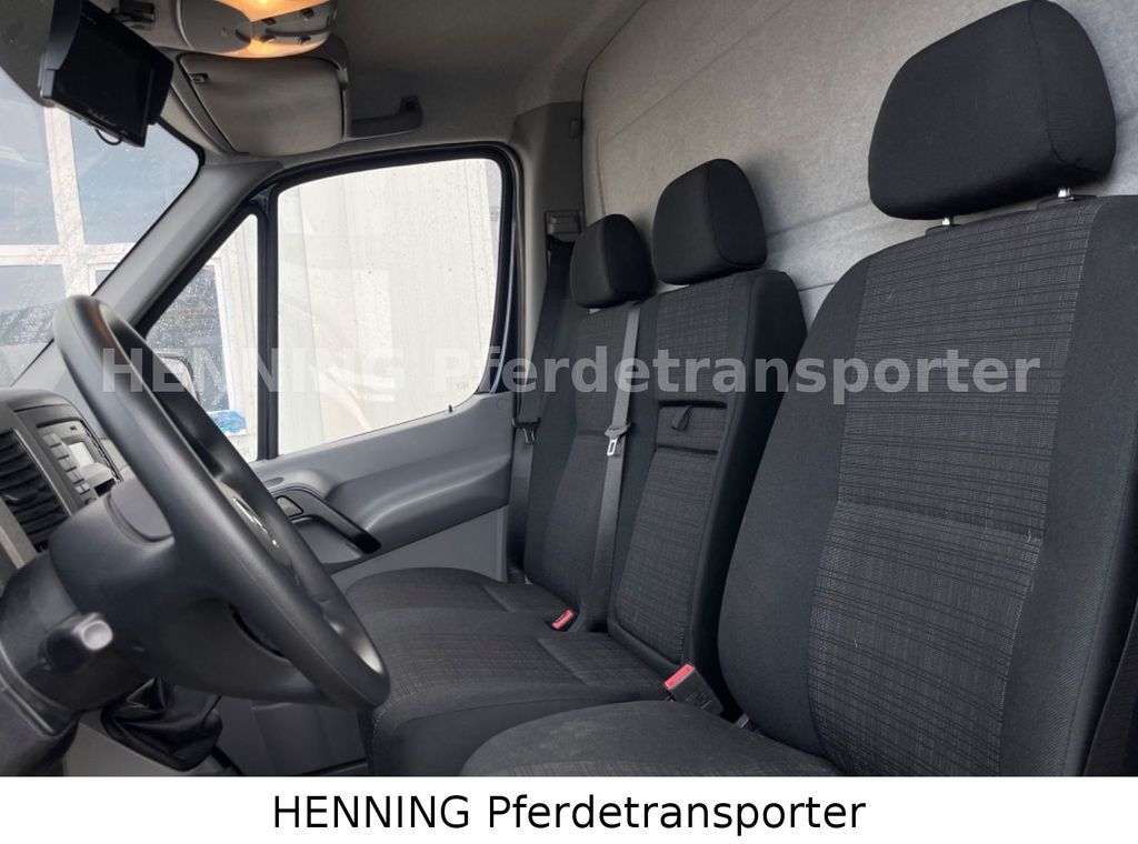 Van trasporto cavalli, Camion con gru nuovo Mercedes-Benz Sprinter 3 - Sitzer *AUSBAU AUF WUNSCH*: foto 15