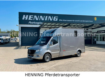 Mercedes-Benz Sprinter *3 - Sitzer* *AUFBAU NEU*  - Van trasporto cavalli