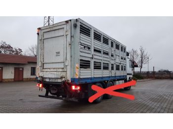 Cassa - furgone per il trasporto di animali WERKLUST: foto 1