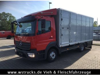 Furgone box per il trasporto di animali Mercedes-Benz 821L" Neu" WST Edition" Menke Einstock Vollalu: foto 1