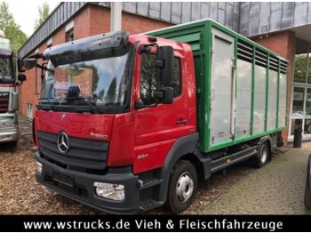 Furgone box per il trasporto di animali Mercedes-Benz 824L WST Edition"  Einstock Vollalu: foto 1
