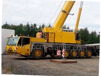 Autogru tuttoterreno Demag AC 200-1