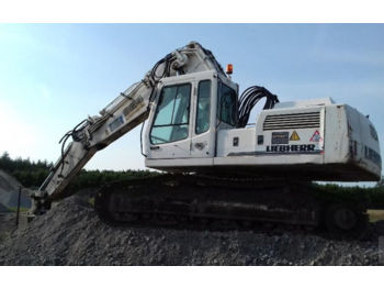 Escavatore cingolato LIEBHERR 924 Litronic