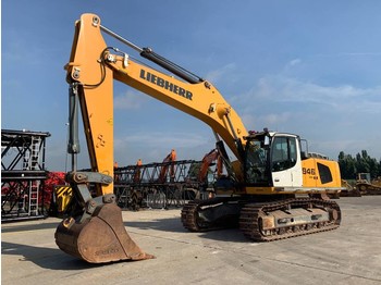 Escavatore cingolato Liebherr R 946