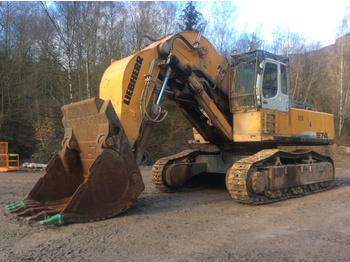 Escavatori per demolizione Liebherr R974C