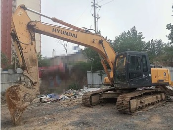 Escavatore HYUNDAI 225LC-7: foto 1