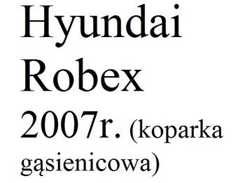 Escavatore cingolato HYUNDAI Robex: foto 1