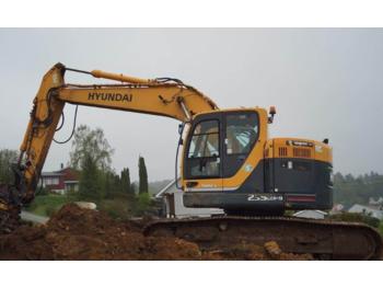 Escavatore cingolato Hyundai Robex: foto 1