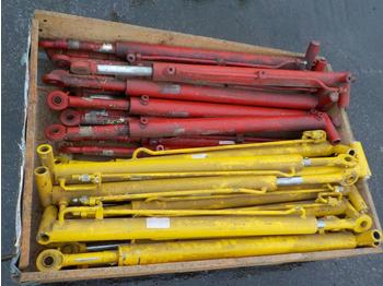  Unused Hydraulic Cylinder to suit Gehl (27 of) - Cilindro idraulico