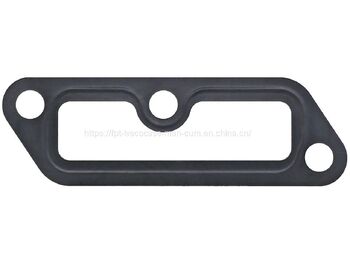 Guarnizione motore MAN D0836 Gasket 06904-0044