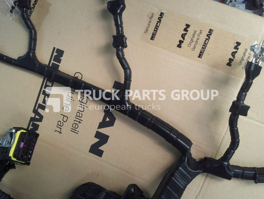 Cavi/ Fili per Camion nuovo MAN TGA, TGX, TGS, TGM, TGL, EURO3, EURO4, EURO5, EURO6 cable harnes wiring: foto 6