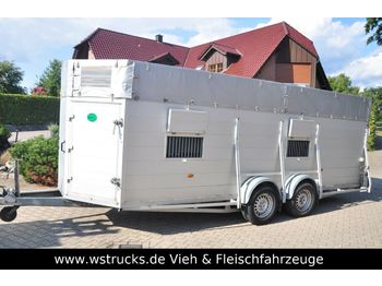 Blomert Einstock Vollalu 5,70 m  - Rimorchio trasporto bestiame