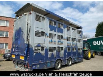 Finkl Tandem Hubdach 3 Stock  - Rimorchio trasporto bestiame