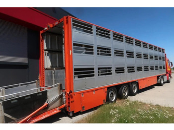 Semirimorchio trasporto bestiame