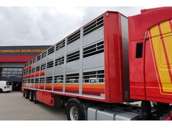 Semirimorchio trasporto bestiame Berdex OS12.27: foto 1