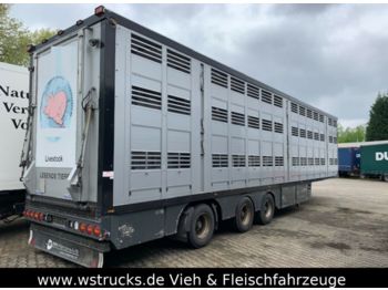 Semirimorchio trasporto bestiame Menke 3 Stock Lenk Lift Typ2 Lüfter Dusche Tränk: foto 1