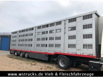 Semirimorchio trasporto bestiame Menke 4 Stock Lenk Lift Typ2 Lüfter Dusche Tränk: foto 1