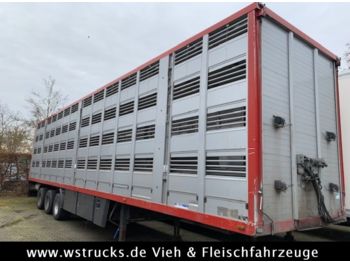 Semirimorchio trasporto bestiame Menke 4 Stock   Lüfter  Tränk: foto 1
